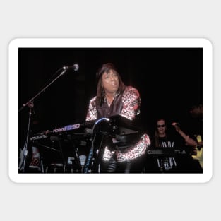 Rick James Photograph Sticker